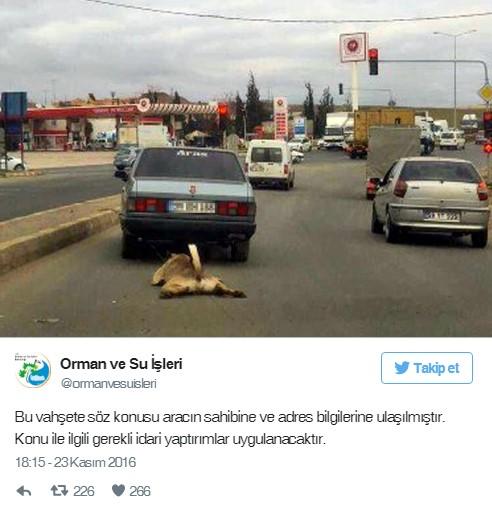 Köpeği otomobile bağlayıp sürükleyen sürücü bulundu