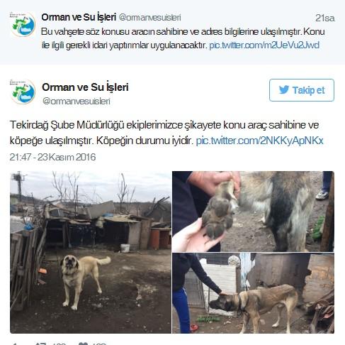 Köpeği otomobile bağlayıp sürükleyen sürücü bulundu