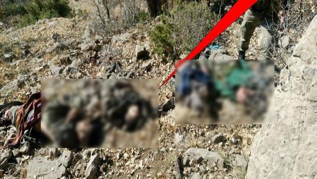 Cudi Dağı'nda terör operasyonu