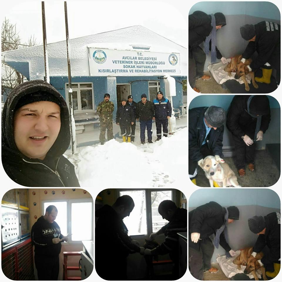 Avcılar'da kar mesaisi