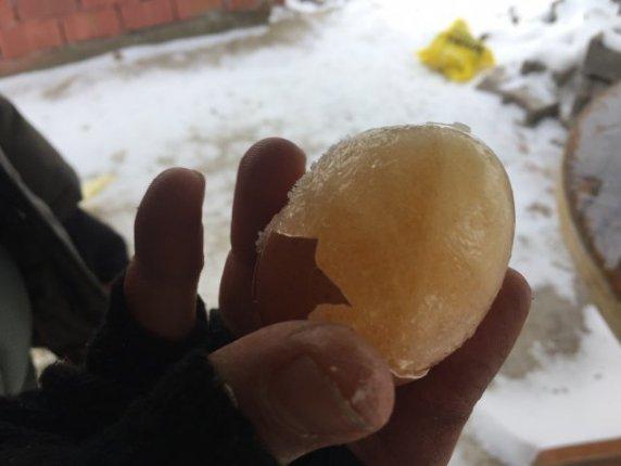 Kırklareli'de yumurtalar soğuktan dondu