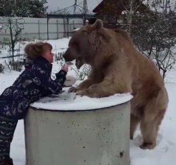 Çocuk ile ayının şarşırtan dostluğu