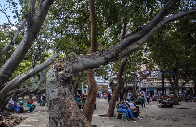 Küba'da internet devrimi