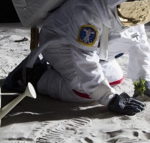 NASA uzayda çiçek yetiştirdi