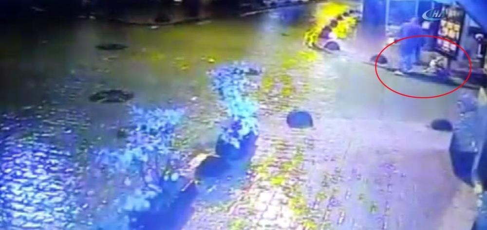 Cihangir'de kaçak elektrik akımına kapılan köpek öldü