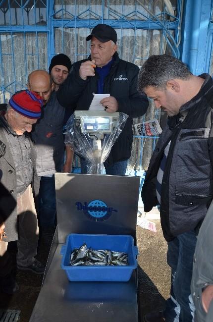 Karadeniz'de Gürcü hamsisi de çare olmadı