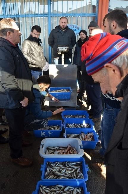 Karadeniz'de Gürcü hamsisi de çare olmadı