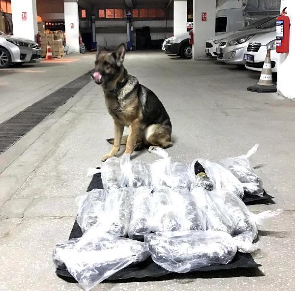 Kayseri'de uyuşturucu operasyonu: 5 gözaltı