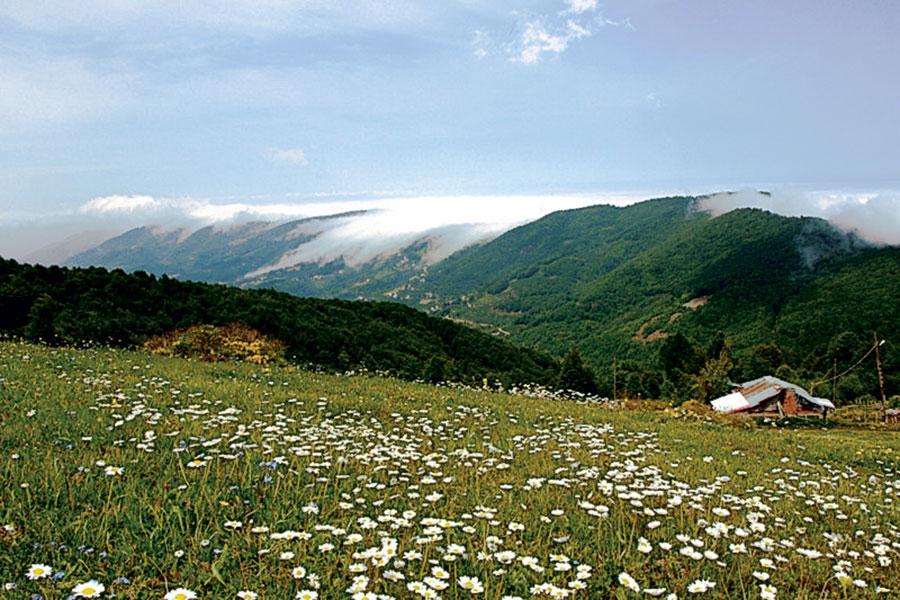 Samsun'da alternatif tatil