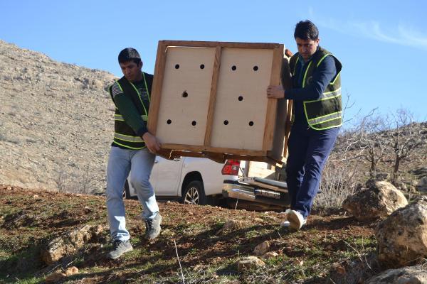Oklu kirpi baraj gölündeki çalışmayı durdurdu