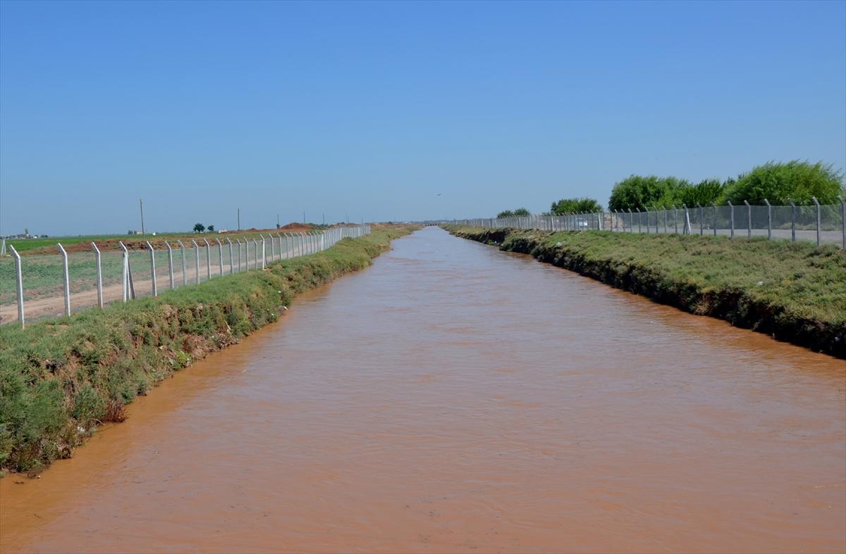 Kaçak elektrikle aşırı sulamanın zararları fotoğraflandı