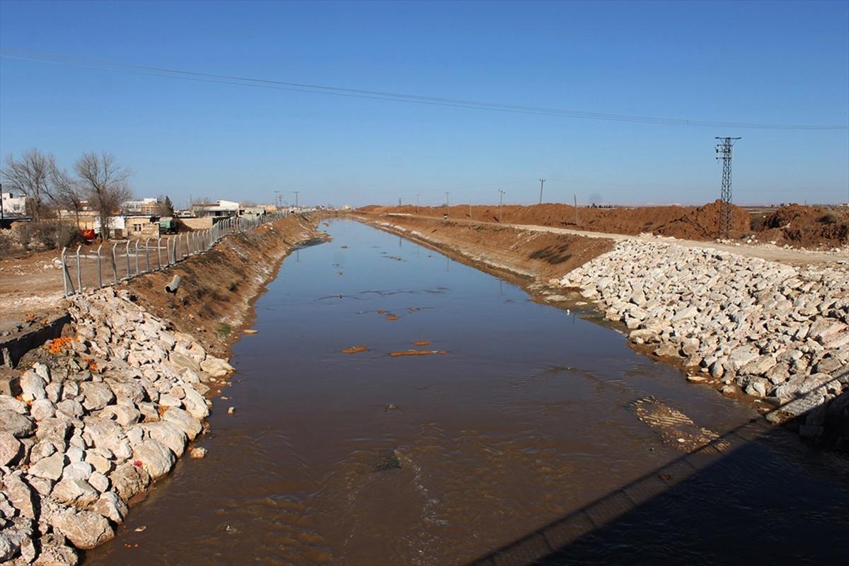 Kaçak elektrikle aşırı sulamanın zararları fotoğraflandı
