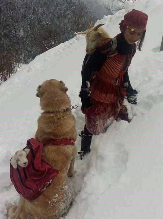 Rizeli kızdan anlamlı davranış