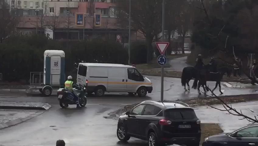 Almanya'nın PKK sevgisi pes dedirtti