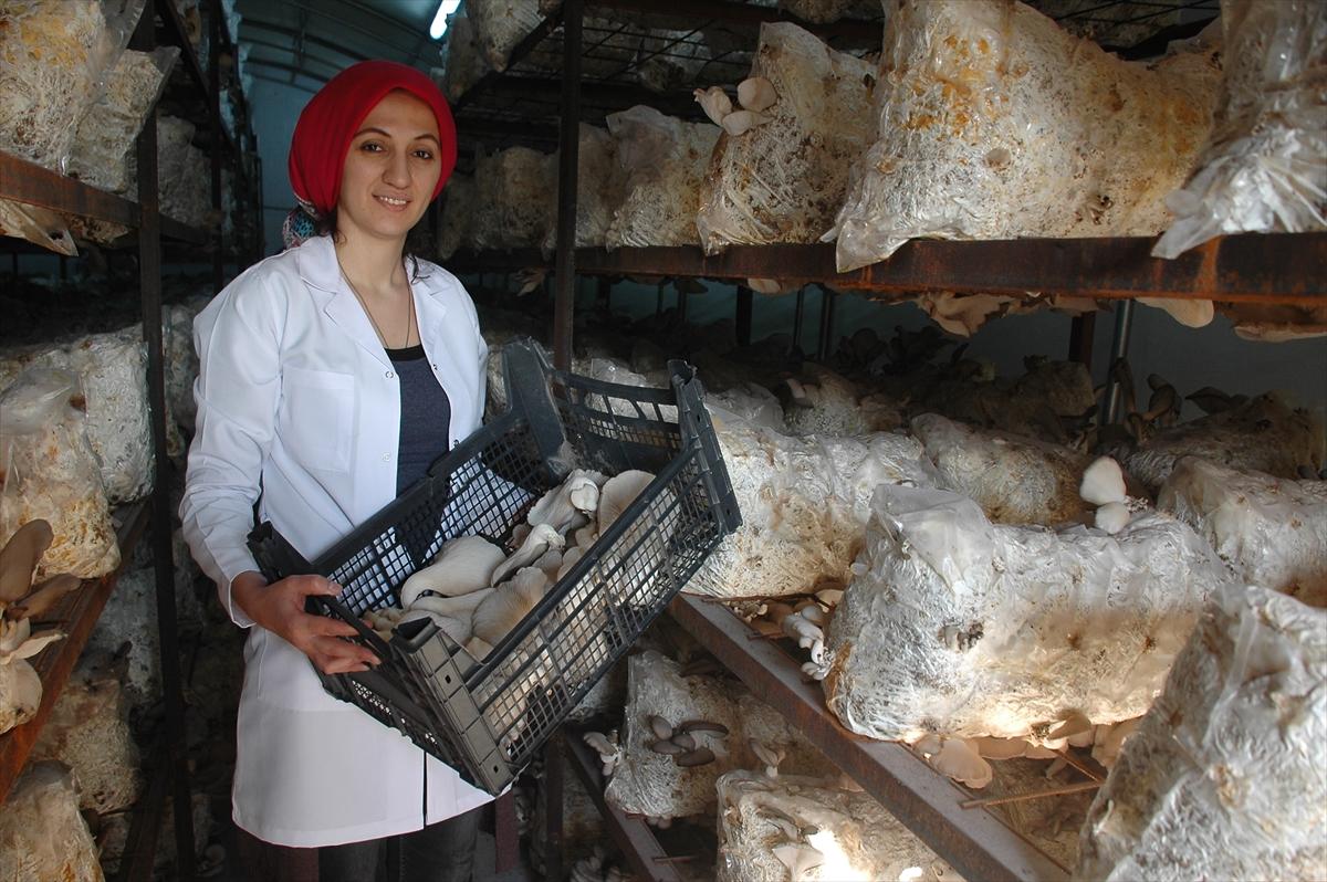 Hobi olarak başladıkları işte üretici oldular