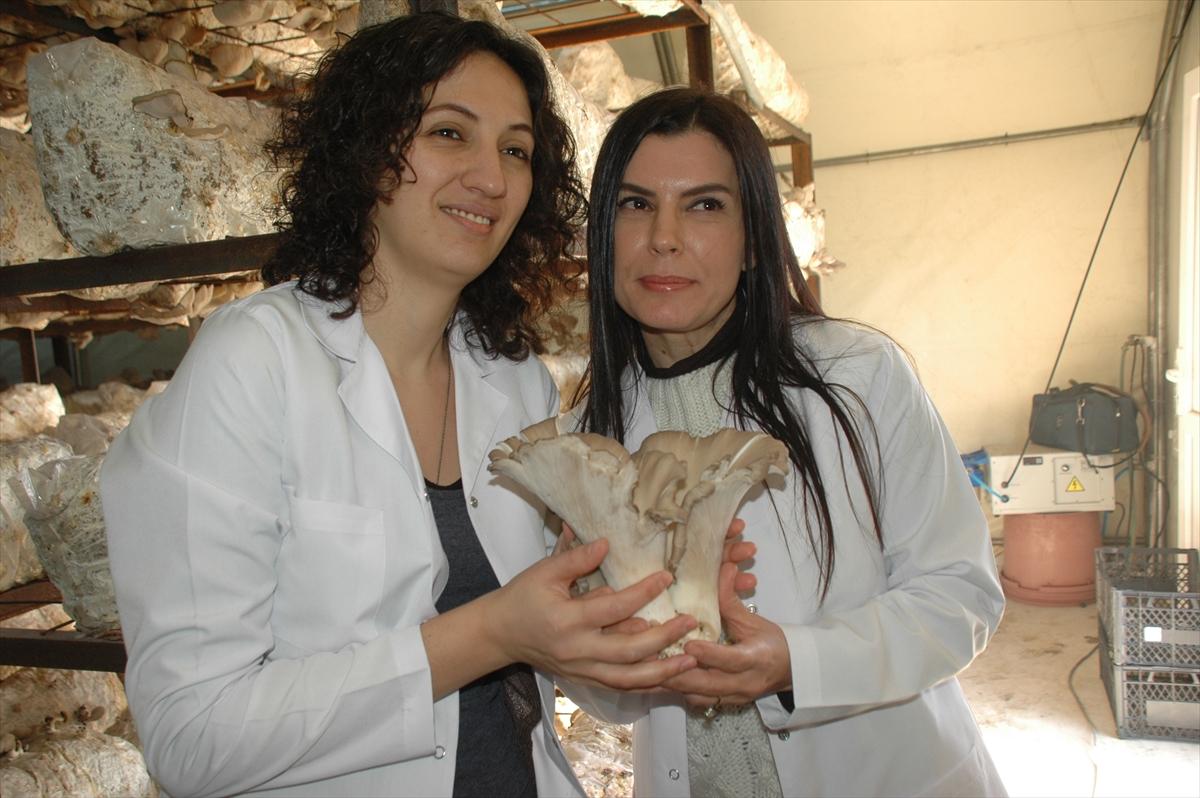 Hobi olarak başladıkları işte üretici oldular