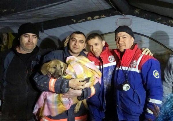 Kuyuya düşen köpeği kurtaran ekip o anları anlattı