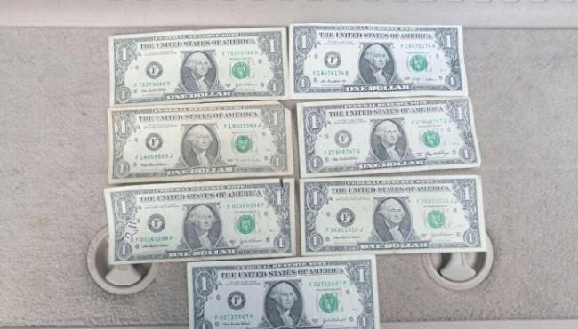 ABD Adana Konsolosluk tercümanına PKK gözaltısı