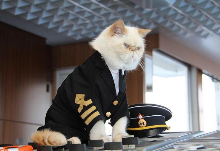 Rus yolcu gemisinin kedi çalışanları