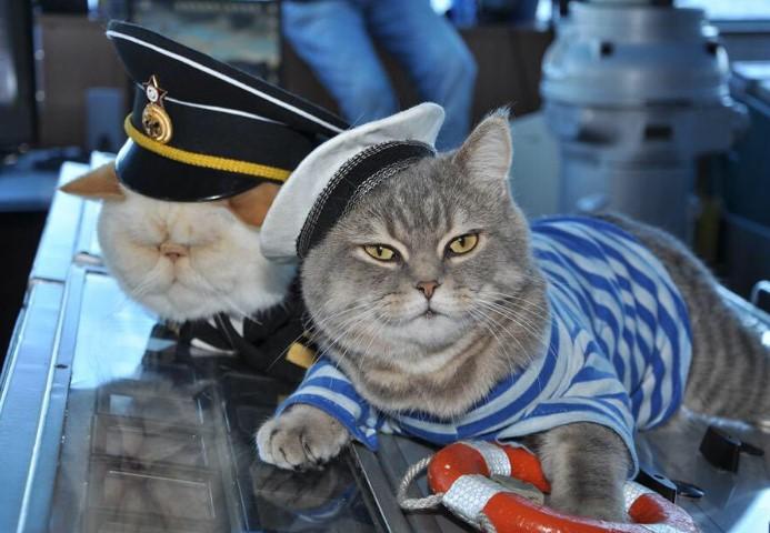 Rus yolcu gemisinin kedi çalışanları