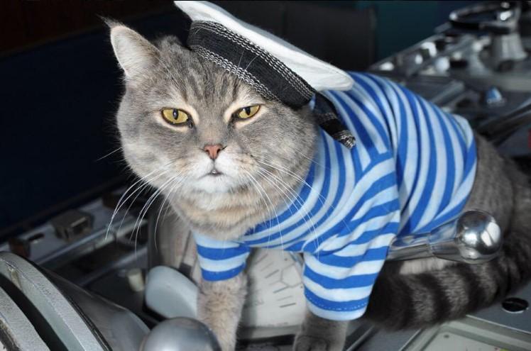 Rus yolcu gemisinin kedi çalışanları