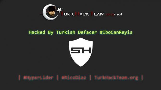 Türk hackerlardan Hollanda'ya saldırı