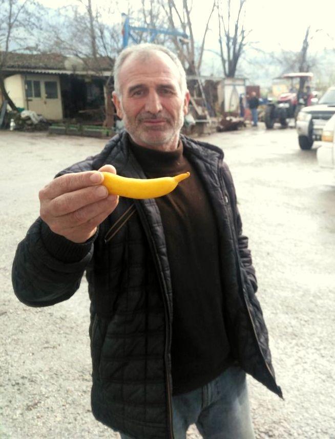 Muz görünümlü limon şaşırttı