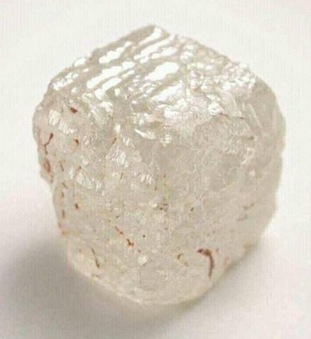 Dünyanın en büyük 20. elması bulundu