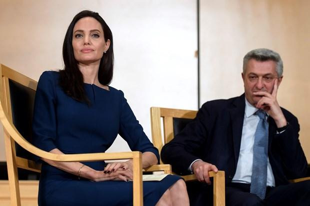 Angelina Jolie'den BM'ye eleştiri