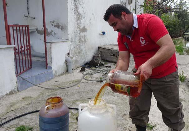 3 diplomalı çiftçiden alternatif tarım başarısı