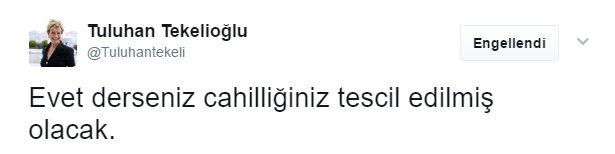 Tuluhan Tekelioğlu 'evet' diyenlere hakaret etti