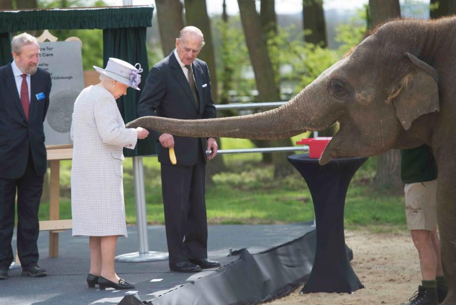 İngiltere Kraliçesi'nin fil sevgisi
