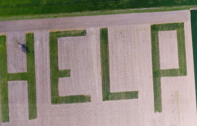 Fransız çiftçiden ilginç protesto