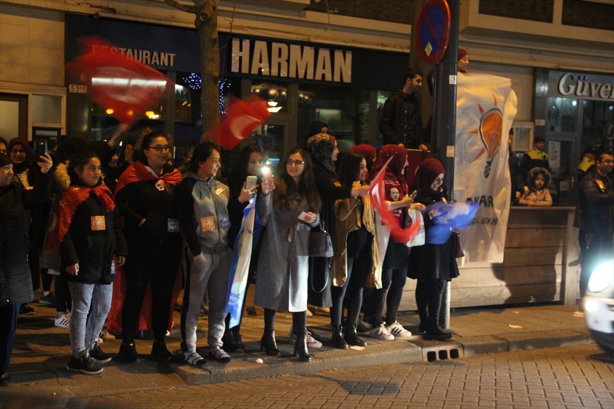 Hollanda'da referandum kutlaması
