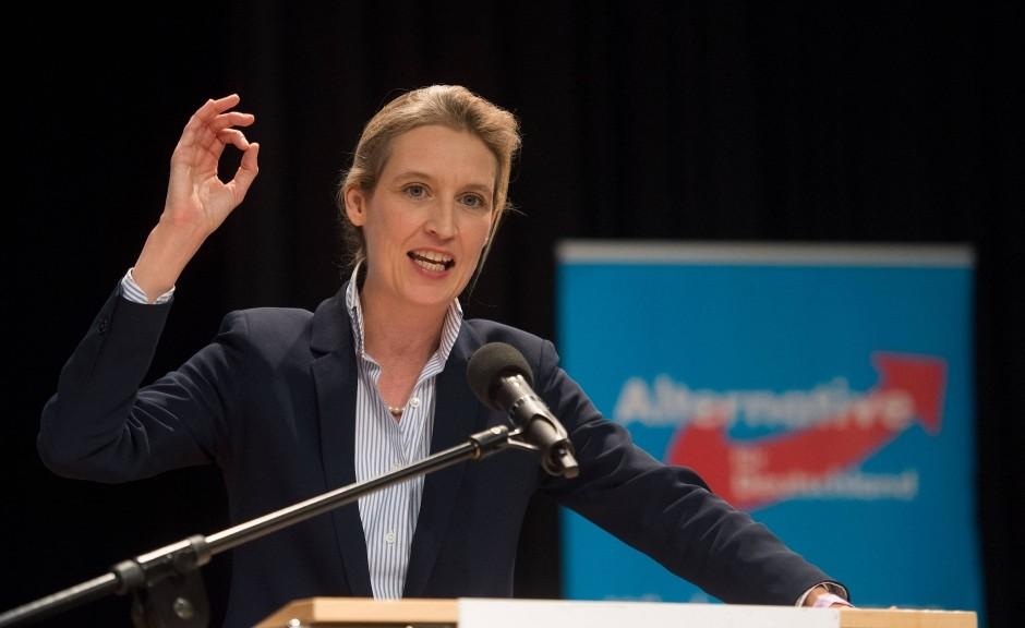 Cem Özdemir'den referandum açıklaması