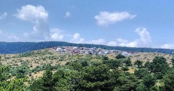 Köyün tamamı 'evet' dedi