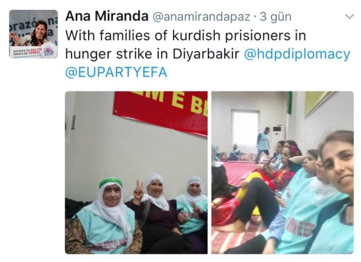 AGİT gözlemcisinin HDP aşkı