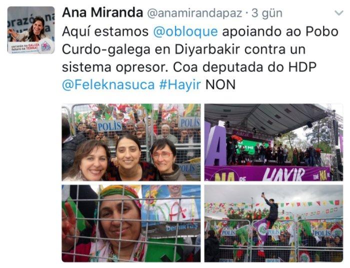 AGİT gözlemcisinin HDP aşkı