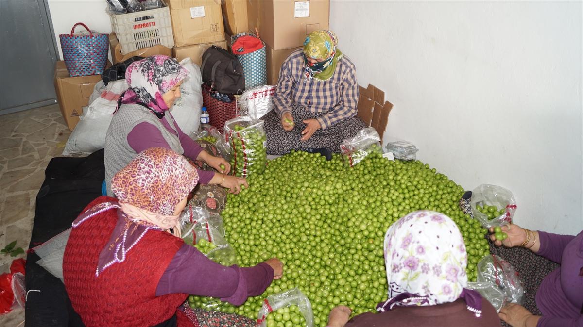 Eriğin kilosu 10 liraya düştü