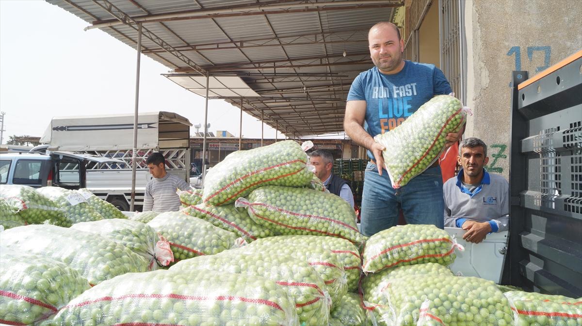 Eriğin kilosu 10 liraya düştü