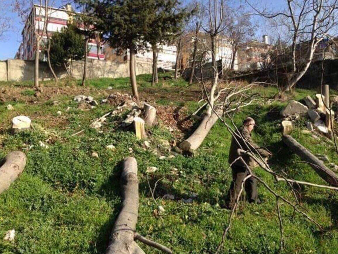 Albatros Parkı'nı satan CHP'li belediyenin heykel sevdası