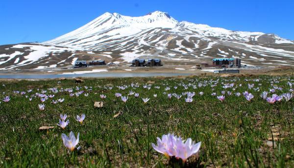 Erciyes Dağı'na bahar geldi