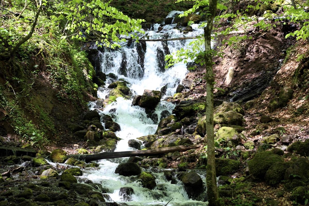 Yedigöller'de iki mevsim bir arada yaşanıyor