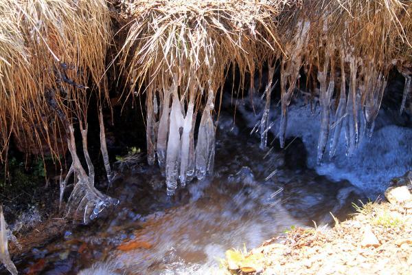 Erciyes Dağı'na bahar geldi