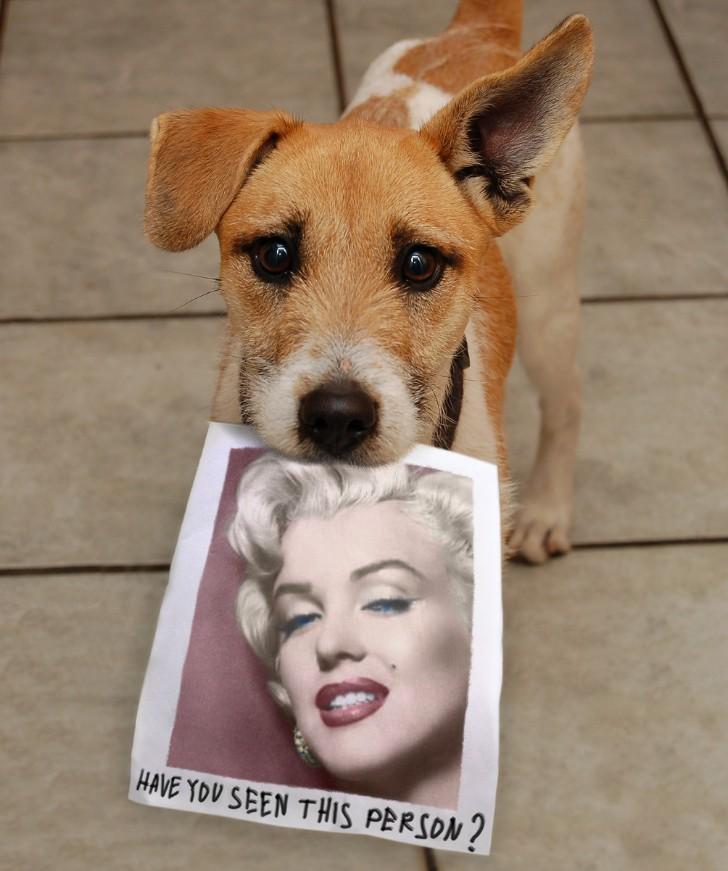 Marilyn Monroe kimdir