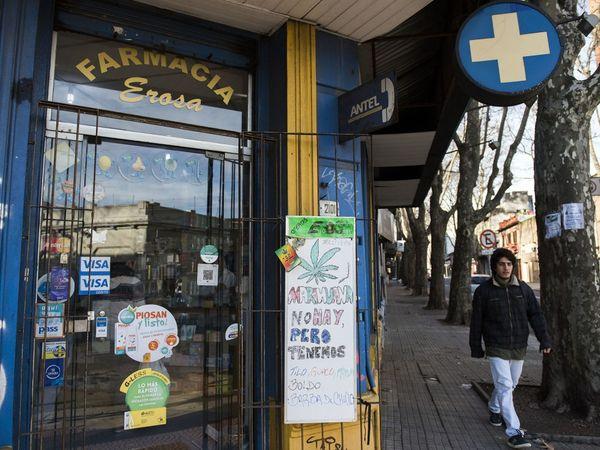 Uruguay'da eczaneler marihuana satacak
