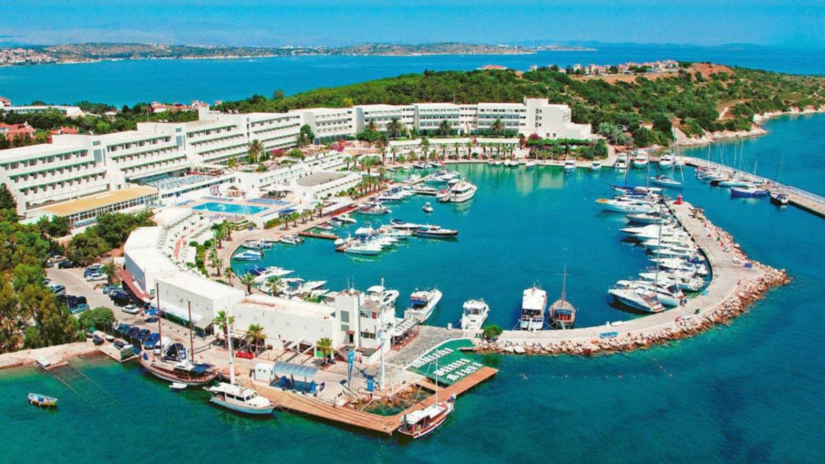 Google'da en çok aranan kategoriler belli oldu