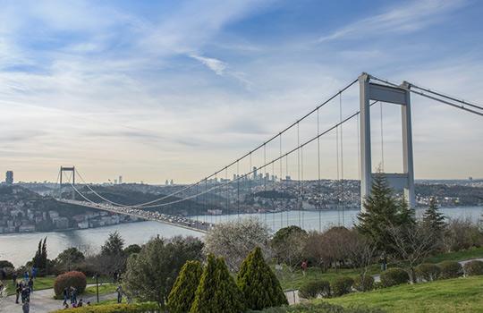 Google'da en çok aranan kategoriler belli oldu