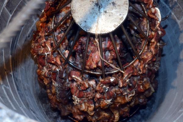 Siirt büryanı için her gün kentte 20 kuzu kesiliyor