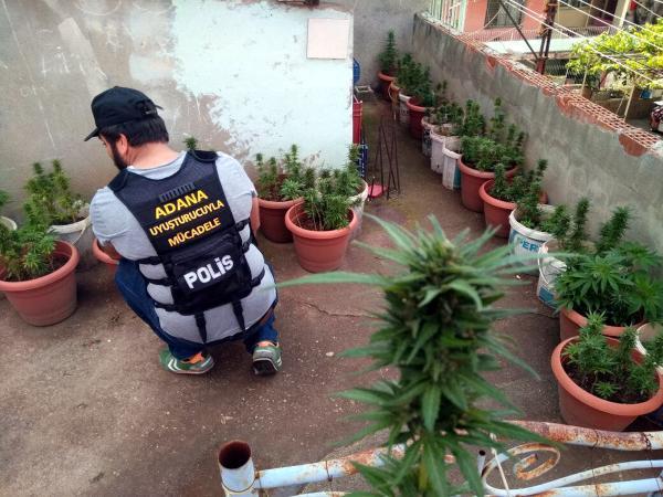Uyuşturucu taciri: Kaliteli mal yoktu kendim ürettim
